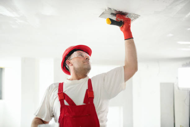 Best Interior Painting  in Lake Geneva, WI